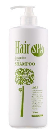    Haken Hair Spa Intensive Care shampoo Gain Cosmetics